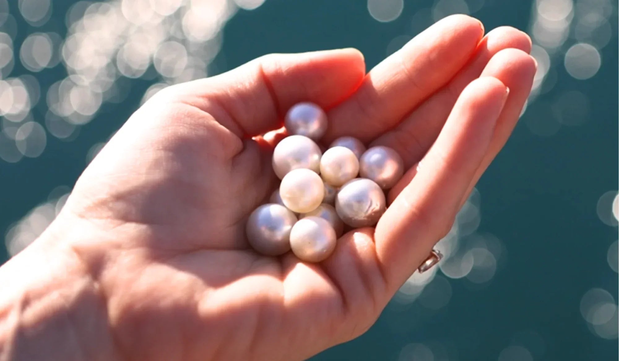 Word of the year 2026: Pearl