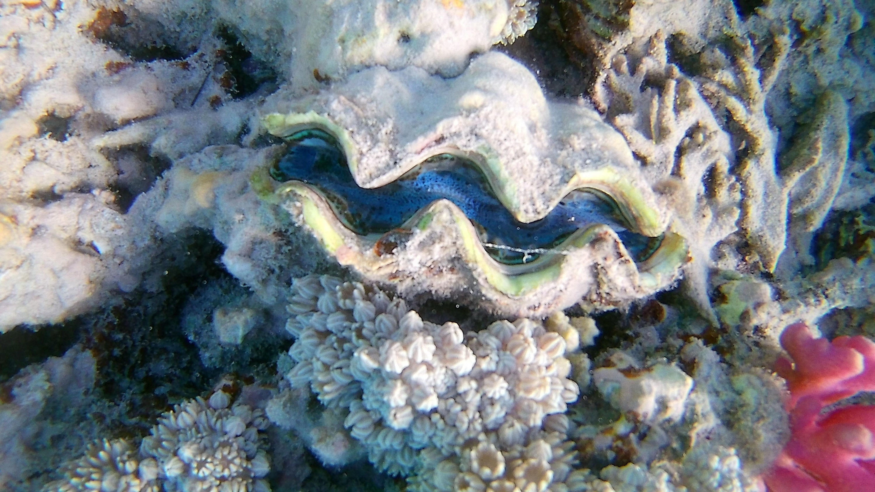 Sustainable Jewelry in a Non Sustainable World